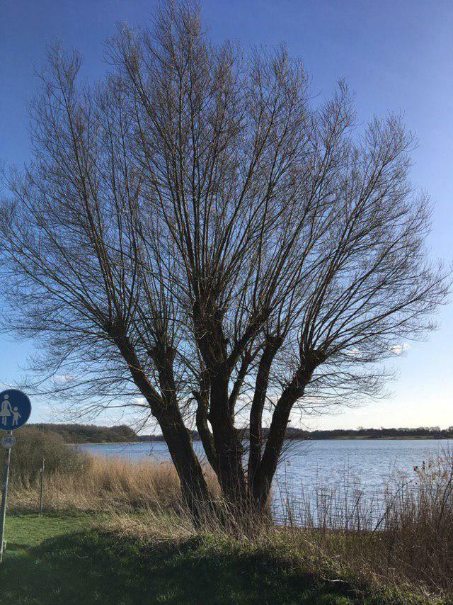 Ferienwohnung Am Noor Nahe Schleswig Und Dem Wikingerdorf Haithabu Fahrdorf  Bagian luar foto