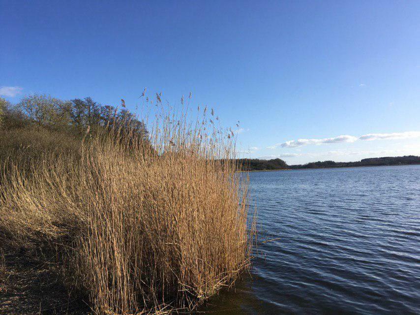 Ferienwohnung Am Noor Nahe Schleswig Und Dem Wikingerdorf Haithabu Fahrdorf  Bagian luar foto