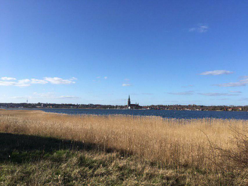 Ferienwohnung Am Noor Nahe Schleswig Und Dem Wikingerdorf Haithabu Fahrdorf  Bagian luar foto